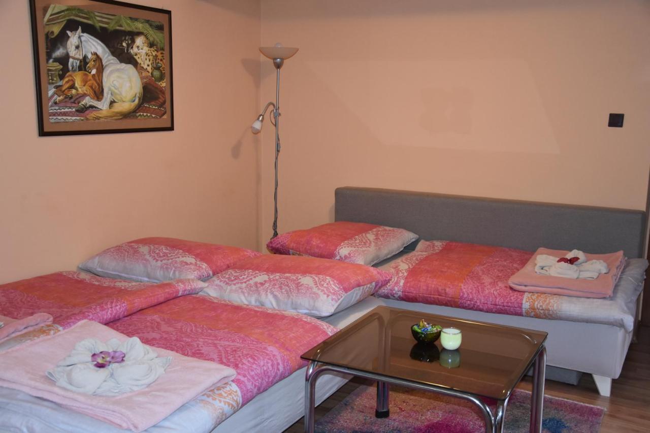 Dafinka Apartment บันสกาบิสตรีตซา ภายนอก รูปภาพ