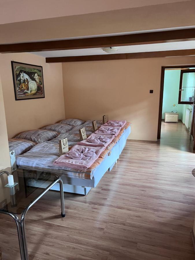 Dafinka Apartment บันสกาบิสตรีตซา ภายนอก รูปภาพ